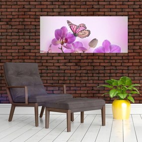Obraz - Motýľ na kvetoch orchidey, lila (120x50 cm)