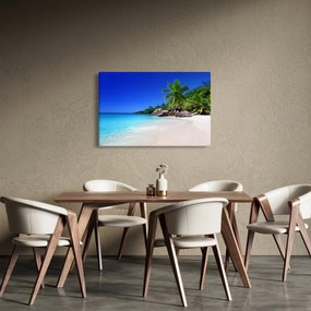 Obraz pláže na Praslin ostrove (90x60 cm)