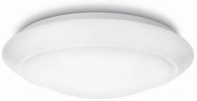 Philips 33365/31/17 - LED Stropné svietidlo LED/22W/230V 4000K