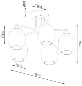Stropné svietidlo Fillan, 5x grafitové sklenené tienidlo