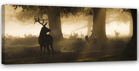 Obraz na plátně, Jelen v lese Fog Brown - 120x40 cm
