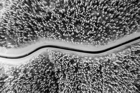 Samolepiaca fototapeta pohľad na zimnú čiernobielu krajinu - 150x100