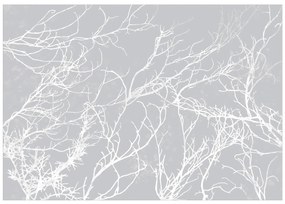 Artgeist Fototapeta - White Trees Veľkosť: 150x105, Verzia: Standard