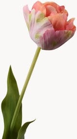 Rastlinné dekorácie Tulip, 2 ks