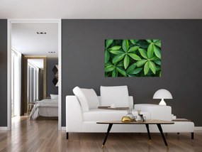 Obraz - Listy s kvapkami rosy (90x60 cm)