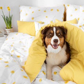 Goldea bavlnené posteľné obliečky duo - púpavy so žltou 140 x 200 a 70 x 90 cm