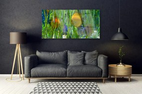 Obraz plexi Ryba riasy príroda 120x60 cm