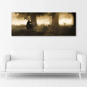 Obraz na plátně Jelen v lese Fog Brown - 120x40 cm