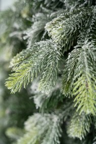 Limpol Kanadská zasnežená borovica 2,40 m