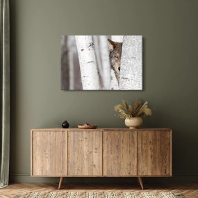 Obraz - Vlk (90x60 cm)
