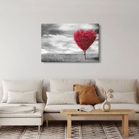 Obraz - Srdce korunou stromu (90x60 cm)