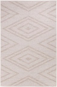 Koberec FLORA 50013 D9TW