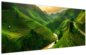 Obraz - Ryžové terasy Mu Cang Chai (120x50 cm)
