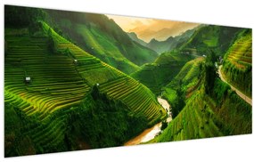 Obraz - Ryžové terasy Mu Cang Chai (120x50 cm)