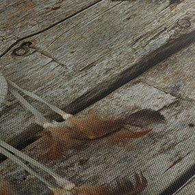 Obraz - Lapač snov (90x60 cm)