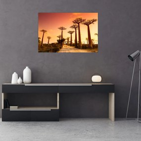 Obraz - Západ slnka v uličke Baobab (90x60 cm)