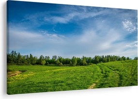 Obraz lúky (90x60 cm)