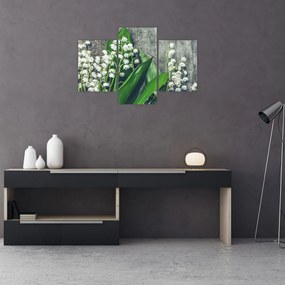 Obraz konvaliniek (90x60 cm)