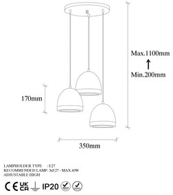 Mugo - 10670