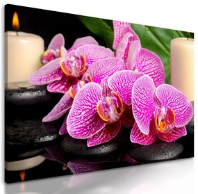 Obraz kvety orchidei s ukľudnujúcim pozadím