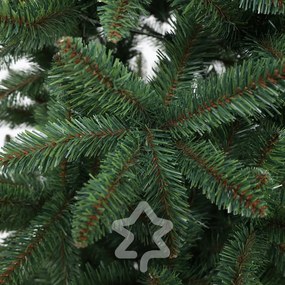 Smrek Kanadský 180 cm