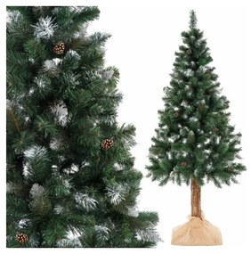 SPRINGOS Vianočný stromček Borovica diamantová na kmienku 180 cm