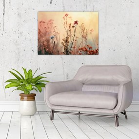 Sklenený obraz - Divoké kvety (70x50 cm)