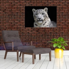 Obraz - Leopard snežný (90x60 cm)
