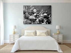 Obraz maľované poľné maky v čiernobielom prevedení - 90x60