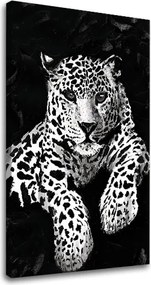 Obraz na plátne GEPARD 001