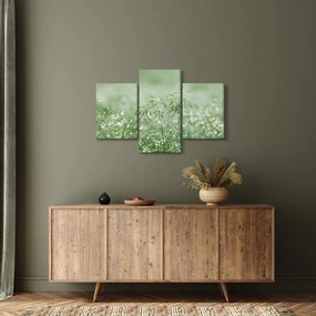 Obraz - Rosa v tráve (90x60 cm)