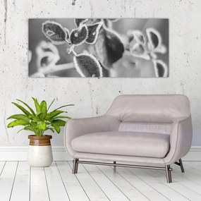 Obraz - Príroda na jeseň (120x50 cm)