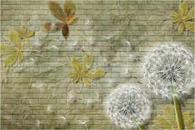 Obraz - Púpavy unášané vetrom (90x60 cm)