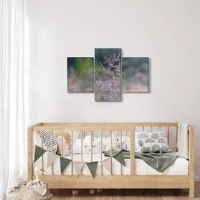 Obraz - Detail traviny (90x60 cm)