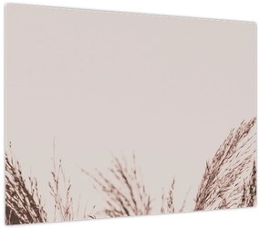 Obraz - Sušená tráva (70x50 cm)