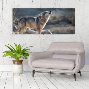 Obraz - Vyjúci vlk (120x50 cm)