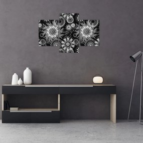 Obraz - Čiernobiele bodliaky (90x60 cm)