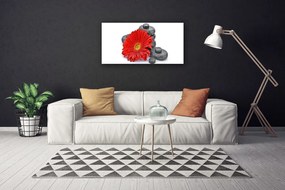Obraz Canvas Kvety gerbery kamene zen 125x50 cm
