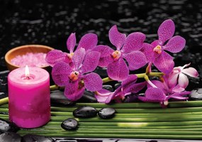 Fototapeta - Ružové orchidey (254x184 cm)