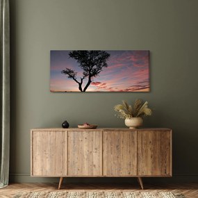 Obraz - Strom a červánky (120x50 cm)