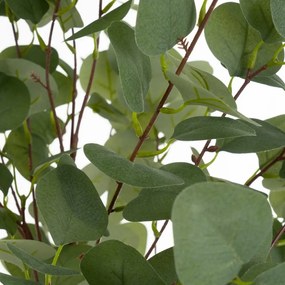 Umelý kvet Eucalyptus – Casa Selección