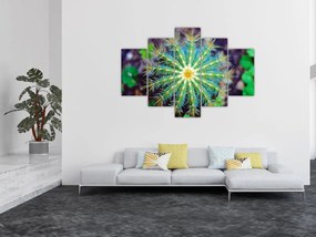 Obraz kaktusu (150x105 cm)