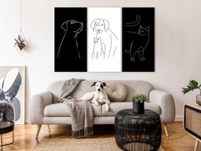 Artgeist Obraz - Domestic Animals (3 Parts) Veľkosť: 120x80, Verzia: Na talianskom plátne