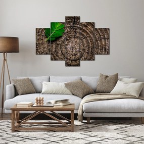 Obraz listu na kmeni stromu (150x105 cm)