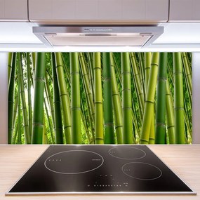 Sklenený obklad Do kuchyne Bambusový les bambusové výhonky 125x50 cm