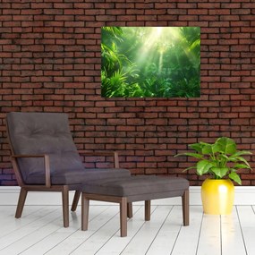 Sklenený obraz - Dažďový prales (70x50 cm)