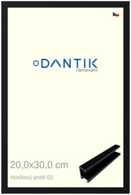 DANTIK rám na obraz 20x30 | ALU Černá Florentinská (Sklo Čiré)