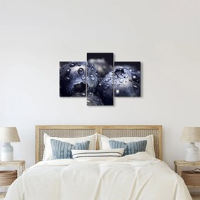 Obraz ovocia s kvapkami vody (90x60 cm)