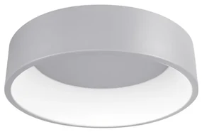 Palnas 61003078 - LED Stropné svietidlo KAJI LED/20W/230V PN0068