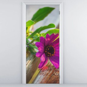 Fototapeta na dvere - Rezané kvety (95x205cm)